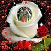 marytacuri30