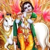 panchlal925
