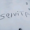 selvitafc