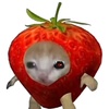 memceck0