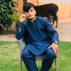 zarjan7868