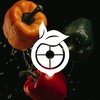 gizipedia.id