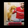 gogigroup