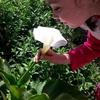 melek_demiradli63
