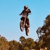 rex_knight132