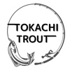 tyk_tokatora