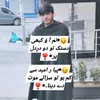 alihassanasgher786