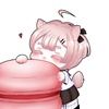 north_rr