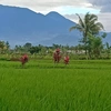 adrianfirmansyah4i