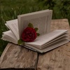 _reading_my_books_
