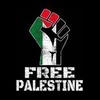 freefreefalstine