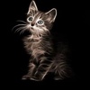 malsha_boy_