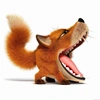 yelfoxy