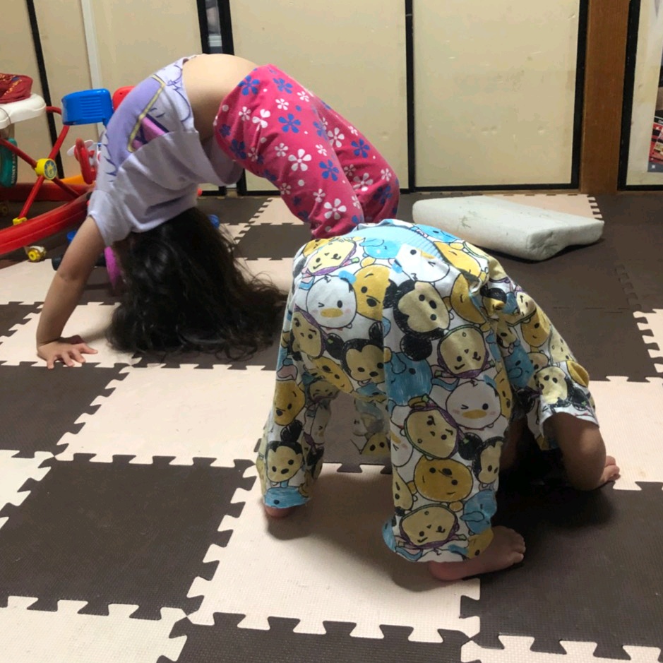 ハリーポッター大好き Tiktok Hashtag