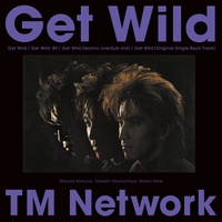 TM NETWORK - Get Wild