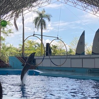 TikTok Account - https://p16-sg.tiktokcdn.com/aweme/200x200/tos-alisg-avt-0068/b08d42b43fcdb87dfe5b22f3a48da304.jpeg