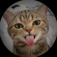 TikTok Account - https://p16-sg.tiktokcdn.com/aweme/200x200/tos-alisg-avt-0068/d0820d3e0aca757f6f0b6720f054141e.jpeg