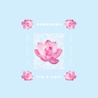 Lofi Domknowz