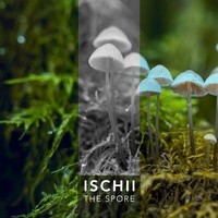 Alana Morse created by Ischii | Popular songs on TikTok