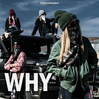 VDSIS - Why