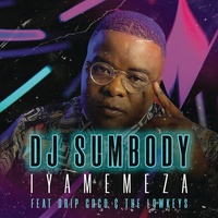 Iyamemeza (Radio Edit) (feat. Drip Gogo & The Lowkeys) DJ Sumbody