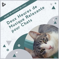 Musique Douce Pour Chatons Creation De Heure De Musique De Chat Musique Relaxante Pour Chats Musique Apaisante Pour Chatons Chansons Populaires Sur Tiktok