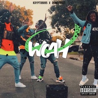 Woah (feat. D3Mstreet) KRYPTO9095