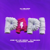 PAPI Dj Nelson & Jose De Las Heras & Alejandro Armes
