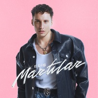 Martılar Edis