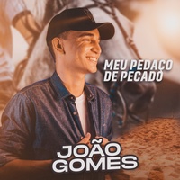 Meu Pedaço de Pecado João Gomes