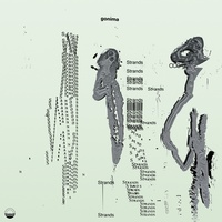 gonima - Open Mind