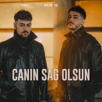 Sound cover