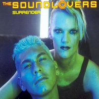 Sound cover