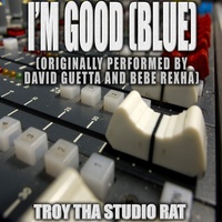 Sound cover