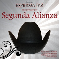 Sound cover
