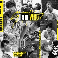 フォト紙印刷でトレカサイズに ఠ ఠ Straykids トレカ画像 スキズ 爆イケぴり ピリちゃん今日も可愛い