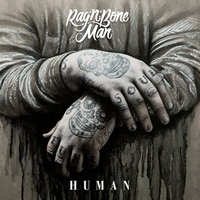 CapCut_human rag'n bone man