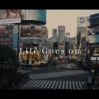 Sound cover