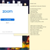 Salgorithm - Zoom Class