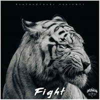 BeatBrothers - Fight | TikTok