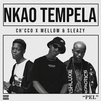 Nkao Tempela Ch'cco & Mellow & Sleazy