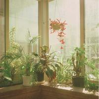 Linearwave - Early Mornings