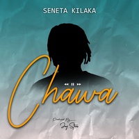 Chawa Seneta Kilaka