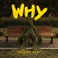 Jackson Wang - Why Why Why