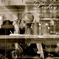 Lowkey - Terrorist?