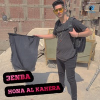 Sound cover