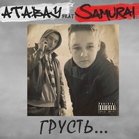Sound cover