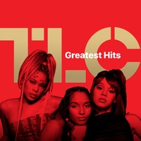 TLC - Ain't 2 Proud 2 Beg | TikTok