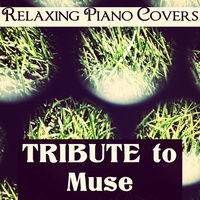 Relaxing Piano Covers - Map Of The Problematique | TikTok