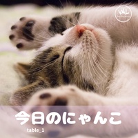 table_1 - 今日のにゃんこ